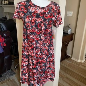 Lularoe carly